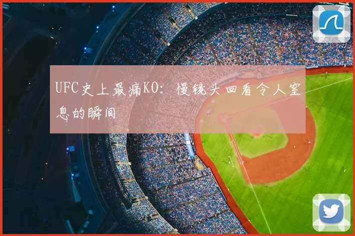 UFC史上最痛KO：慢镜头回看令人窒息的瞬间