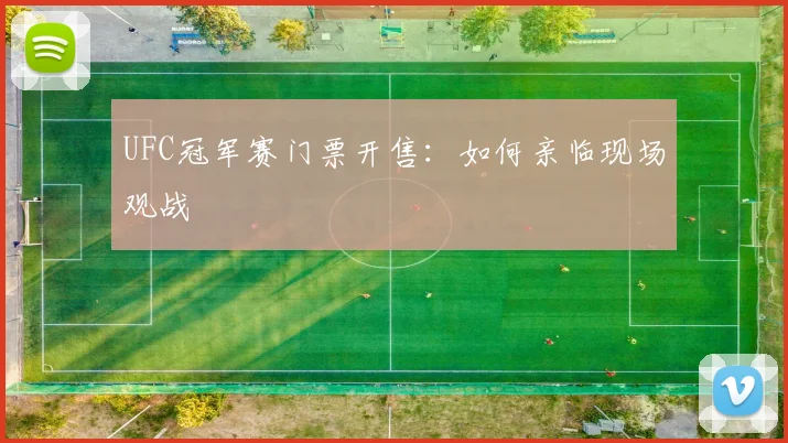 UFC冠军赛门票开售：如何亲临现场观战