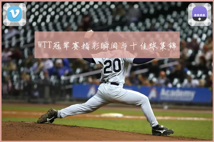WTT冠军赛精彩瞬间与十佳球集锦