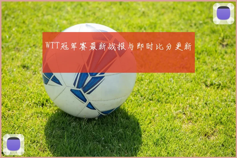 WTT冠军赛最新战报与即时比分更新