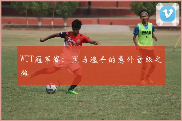 WTT冠军赛：黑马选手的意外晋级之路