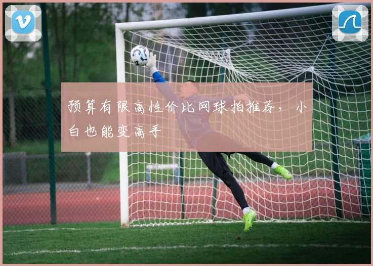 预算有限高性价比网球拍推荐，小白也能变高手