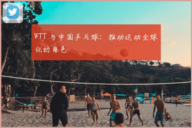 WTT 与中国乒乓球:推动运动全球化的角色