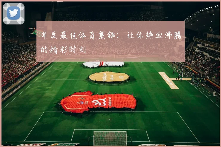 年度最佳体育集锦：让你热血沸腾的精彩时刻