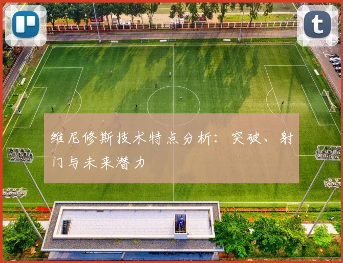 维尼修斯技术特点分析：突破、射门与未来潜力