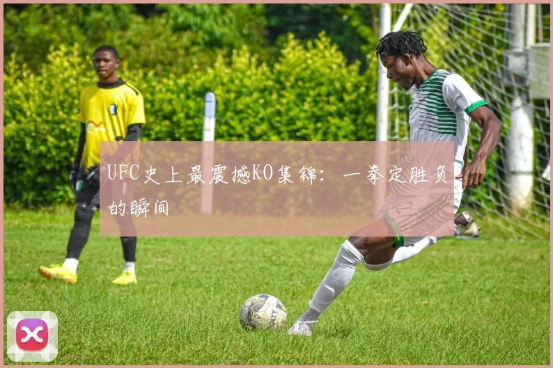 UFC史上最震撼KO集锦：一拳定胜负的瞬间